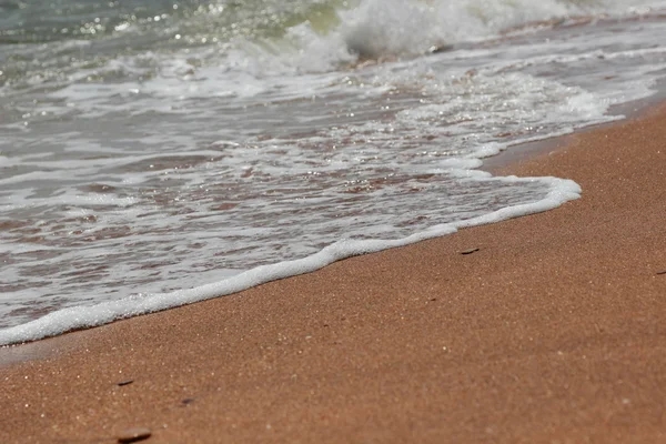 Textura de arena marina —  Fotos de Stock
