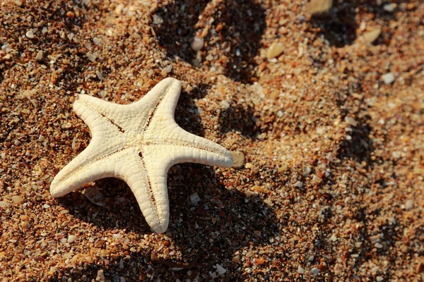 Zeester Kustlijn Van Arenaceous Strand Overheen Zwarte Zee Kerch Naar — Stockfoto