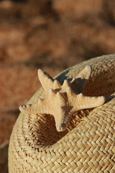 Imagen Exterior Del Sombrero Paja Las Estrellas Mar Sobre Fondo —  Fotos de Stock