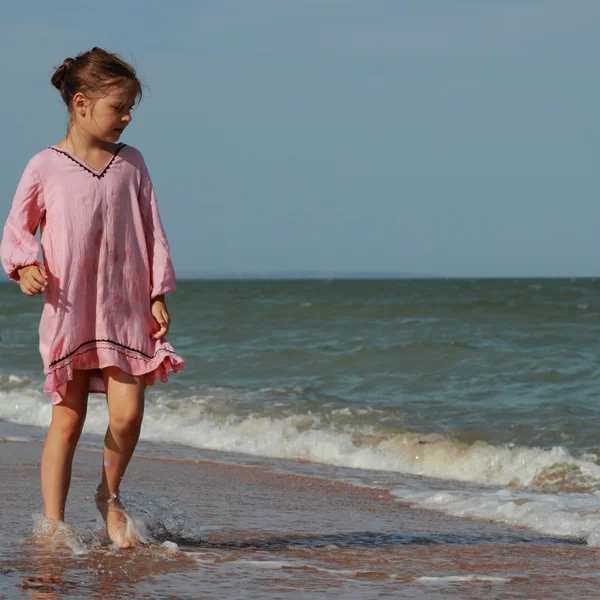 Sommarkoncept För Att Skapa Liv Över Havet East Crimea — Stockfoto