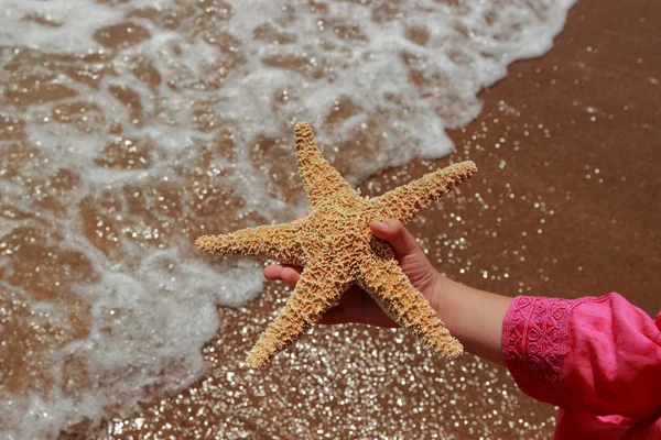 Huge star fish in kids hand — Stock Photo, Image
