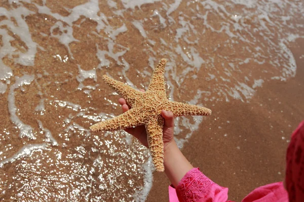 Estrella de mar — Foto de Stock