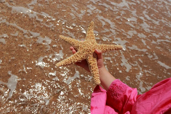 Star fish — Stock Photo, Image