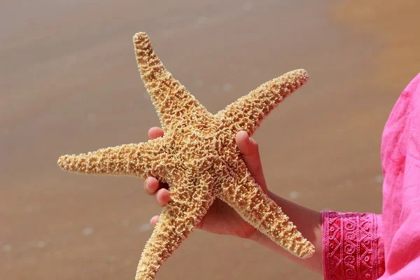 Star fish — Stock Photo, Image