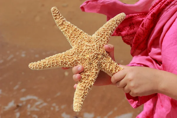 Estrella de mar — Foto de Stock