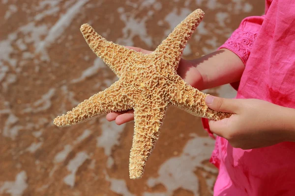 Énorme Étoile Poisson Dans Les Enfants Main Sur Fond Bord — Photo