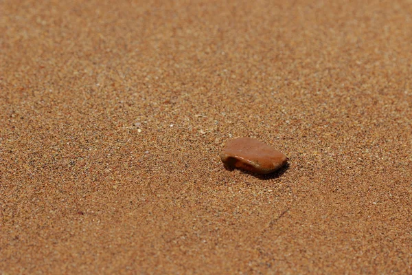 Außenbild Vonnahaufnahme Von Seesternen Auf Sandhintergrund Über Dem Schwarzen Meer — Stockfoto