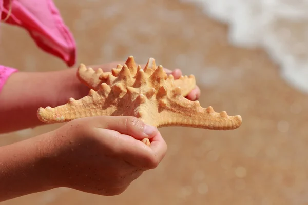 Kleines Mädchen Rosafarbenen Sommerkleid Mit Riesigen Sternenfischen Über Dem Sandhintergrund — Stockfoto