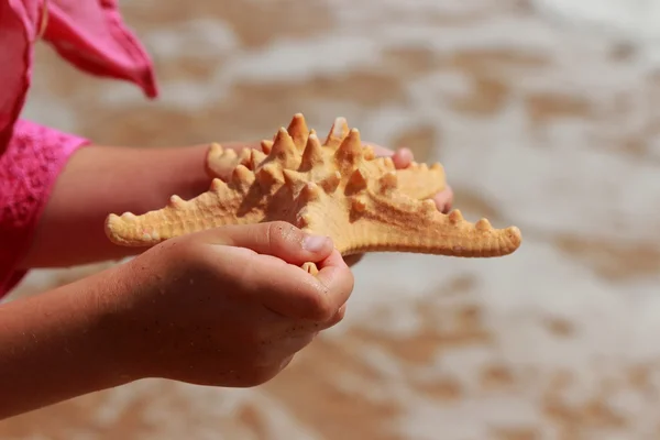 Niña Vestido Verano Rosa Sosteniendo Enormes Estrellas Mar Sobre Fondo —  Fotos de Stock