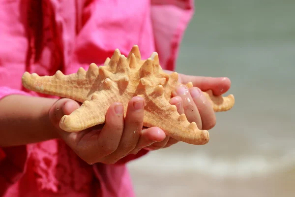 Little Girl Pink Summer Dress Holding Huge Star Fish Sand — Stock Photo, Image