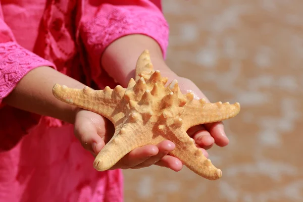 Little Girl Pink Summer Dress Holding Huge Star Fish Sand — Stock Photo, Image