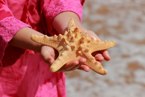 Little Girl Pink Summer Dress Holding Huge Star Fish Sand — Stock Photo, Image