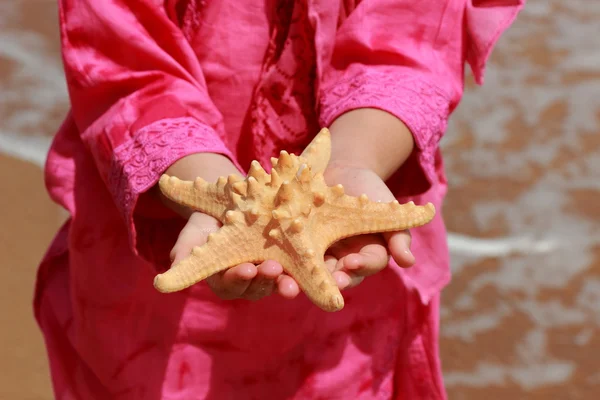 Little Girl Pink Summer Dress Holding Huge Star Fish — Stock Photo, Image