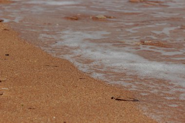 모래 배경, 크림kum arka plan, Kırım