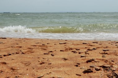 kristal berraklığında su blsck Denizi, Doğu Kırım sahilde