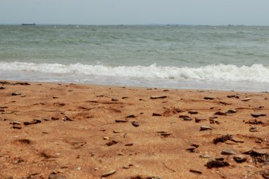 모래 배경, 크림kum arka plan, Kırım