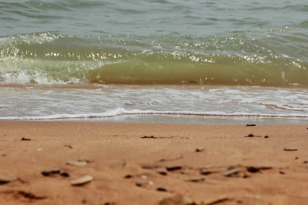 Sable de la mer, la Crimée — Photo