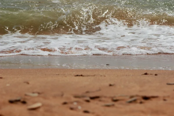 Eau Cristalline Sur Plage Mer Blsck Crimée Orientale — Photo