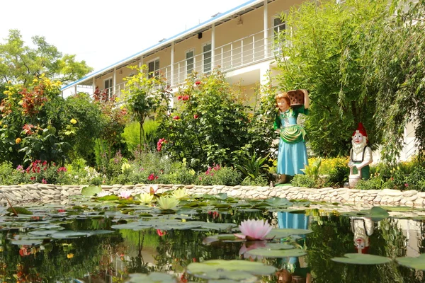 Water lilly — Stock Photo, Image