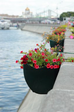 Moskova'daki Kurtarıcı İsa Katedrali'ne Bakış