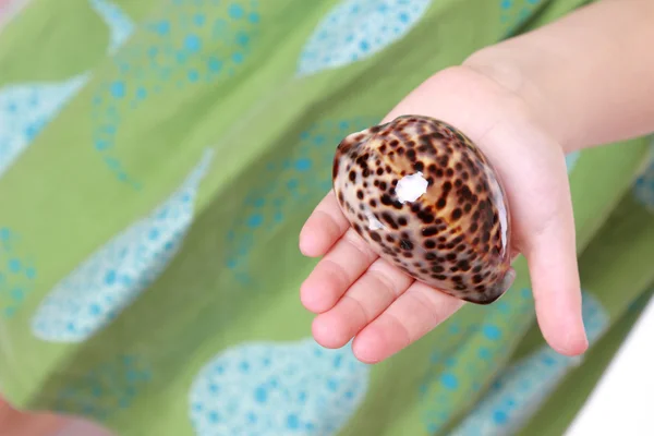 Little girl holding sea treasure — Stock Photo, Image