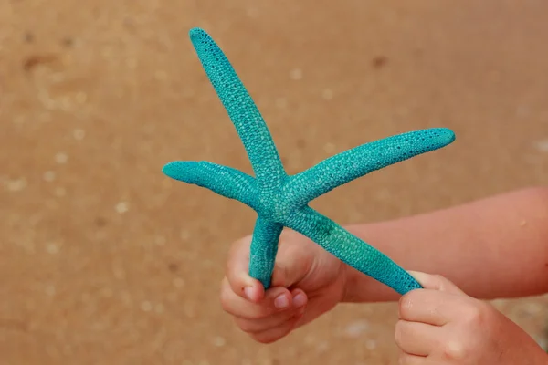 Little girl holding marine life — Stock Photo, Image