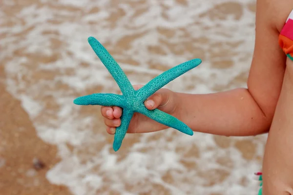 Bambina che tiene la vita marina — Foto Stock