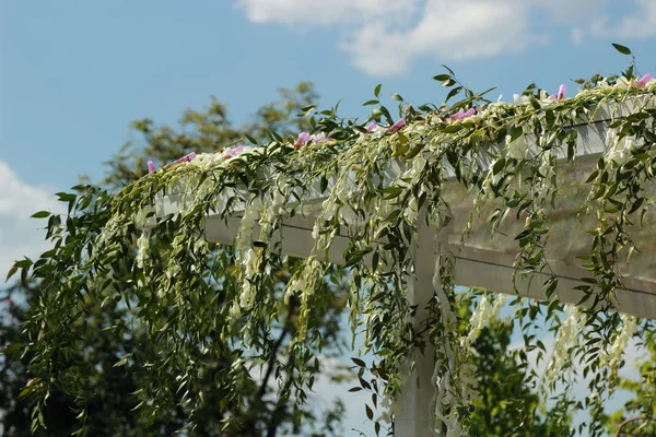 Härlig sommarblommor — Stockfoto