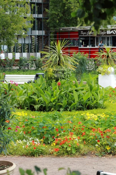 公園の色鮮やかな花壇花緑の円夏色庭デザイン巻き花経路天気通路日光飾り屋外休暇美しい公共性の正式な休日 — ストック写真
