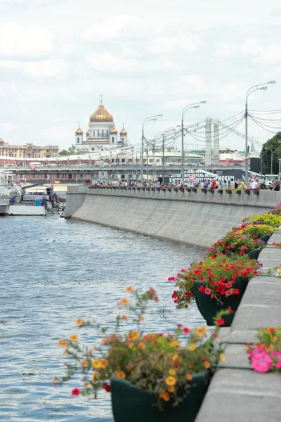 Şehir Parkı, Moskova çiçeklenir — Stok fotoğraf