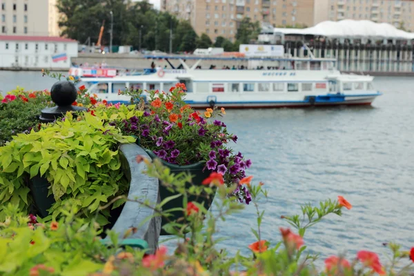 Peyzaj Tasarım Dekorasyon Waterfront Gor Kogo Moskova Rusya Bahçeleri Parklar — Stok fotoğraf