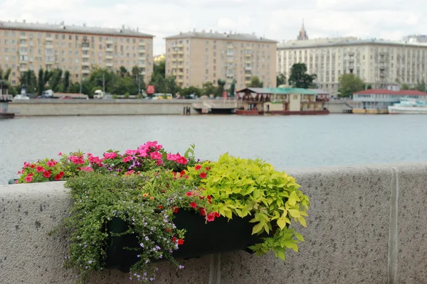 Peyzaj Tasarım Dekorasyon Waterfront Gor Kogo Moskova Rusya Bahçeleri Parklar — Stok fotoğraf