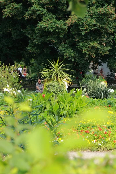 素敵な公園、モスクワ — ストック写真