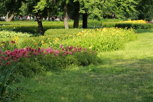 Parks Colourful Flowerbeds Flower Green Circle Summer Colour Garden Design — Stock Photo, Image