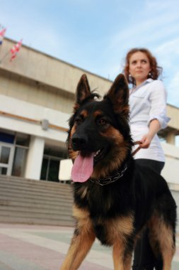 Kadın ve köpek açık