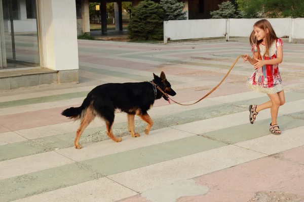 Liten flicka med hund — Stockfoto