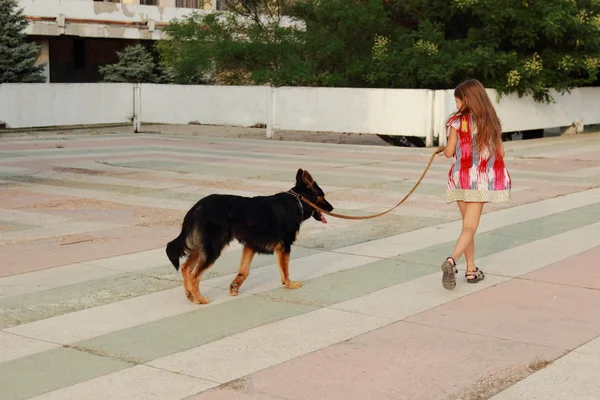 Liten flicka med hund — Stockfoto