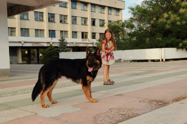 Kleines Mädchen mit Hund — Stockfoto