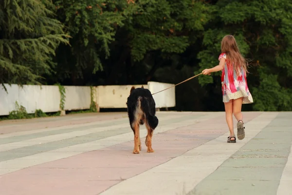 Glad Glad Liten Flicka Löpande Med Hund Tysken Herde Skapa — Stockfoto