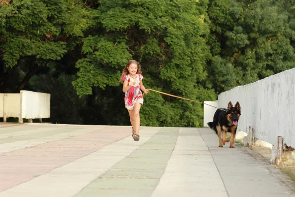 Charmant Lächelndes Kleines Mädchen Geht Der Leine Mit Einem Hund — Stockfoto