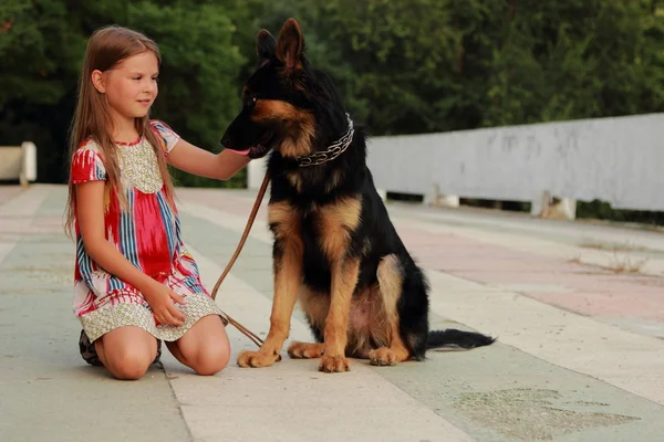 Retrato Una Hermosa Niña Feliz Con Cachorro Pastor Alemán Aire —  Fotos de Stock