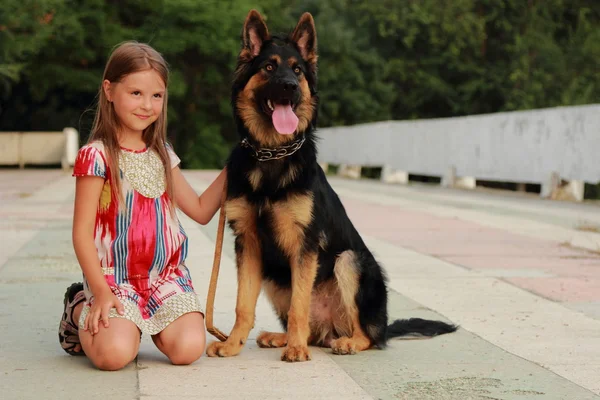 Menina com cão — Fotografia de Stock