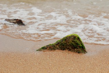 dalgalar ve deniz köpüğü