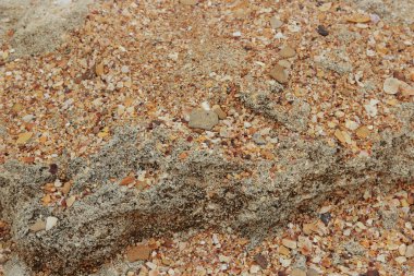 Deniz kaya doku, deniz kaya doku kum toz kaplama ile