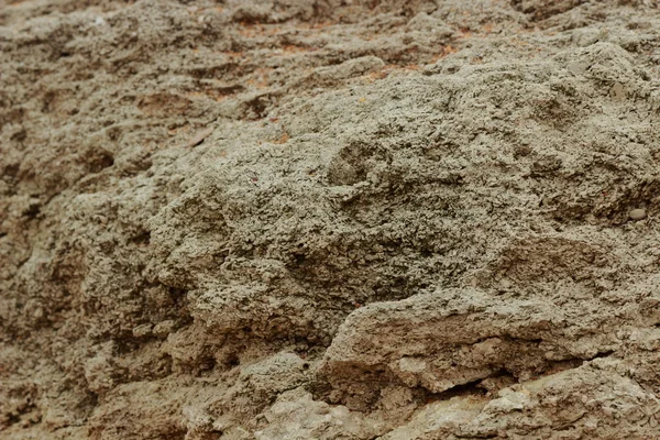 海の岩のテクスチャ 砂埃カバーで海岩のテクスチャ — ストック写真