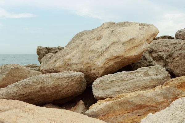 Powierzchnia Kamienia Morskiego Faktura Krzywej Brązowej Powierzchni Kamienia Morskiego Hit — Zdjęcie stockowe