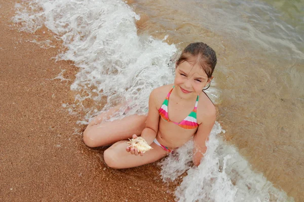 Coquilles Océan Trouvent Dans Les Mains Enfant — Photo