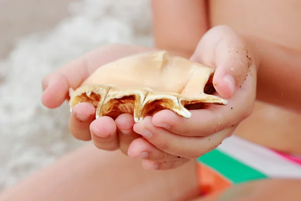 Concha en la mano de los niños — Foto de Stock
