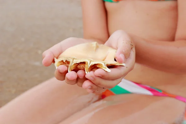 Concha de mar en mano de niño —  Fotos de Stock