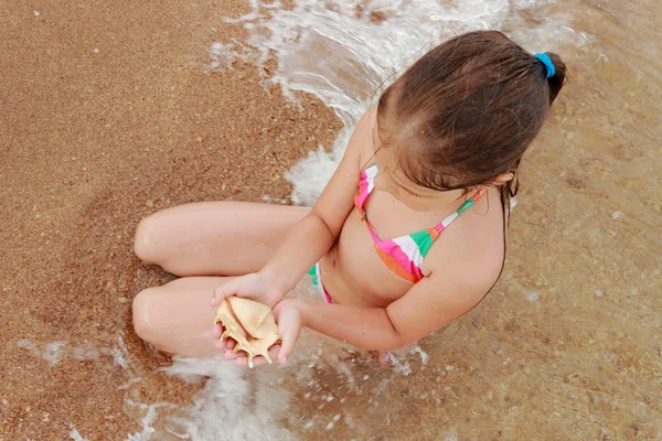 Seashell in kids hand — Stock Photo, Image